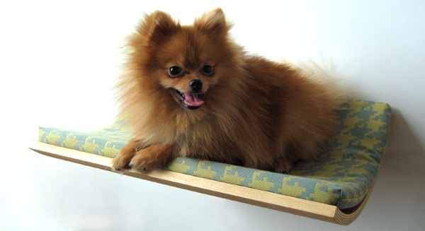 Dog on Curve